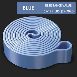 Latex Elastic Resistance Bands for Home Workout and Fitness Equipment (170LB Blue)
