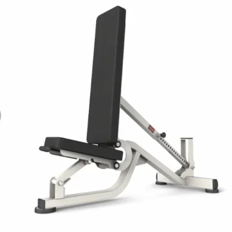 Adjustable Dumbbell Bench Multifunctional Gym Sit Up Bench Adjustable Dumbbell