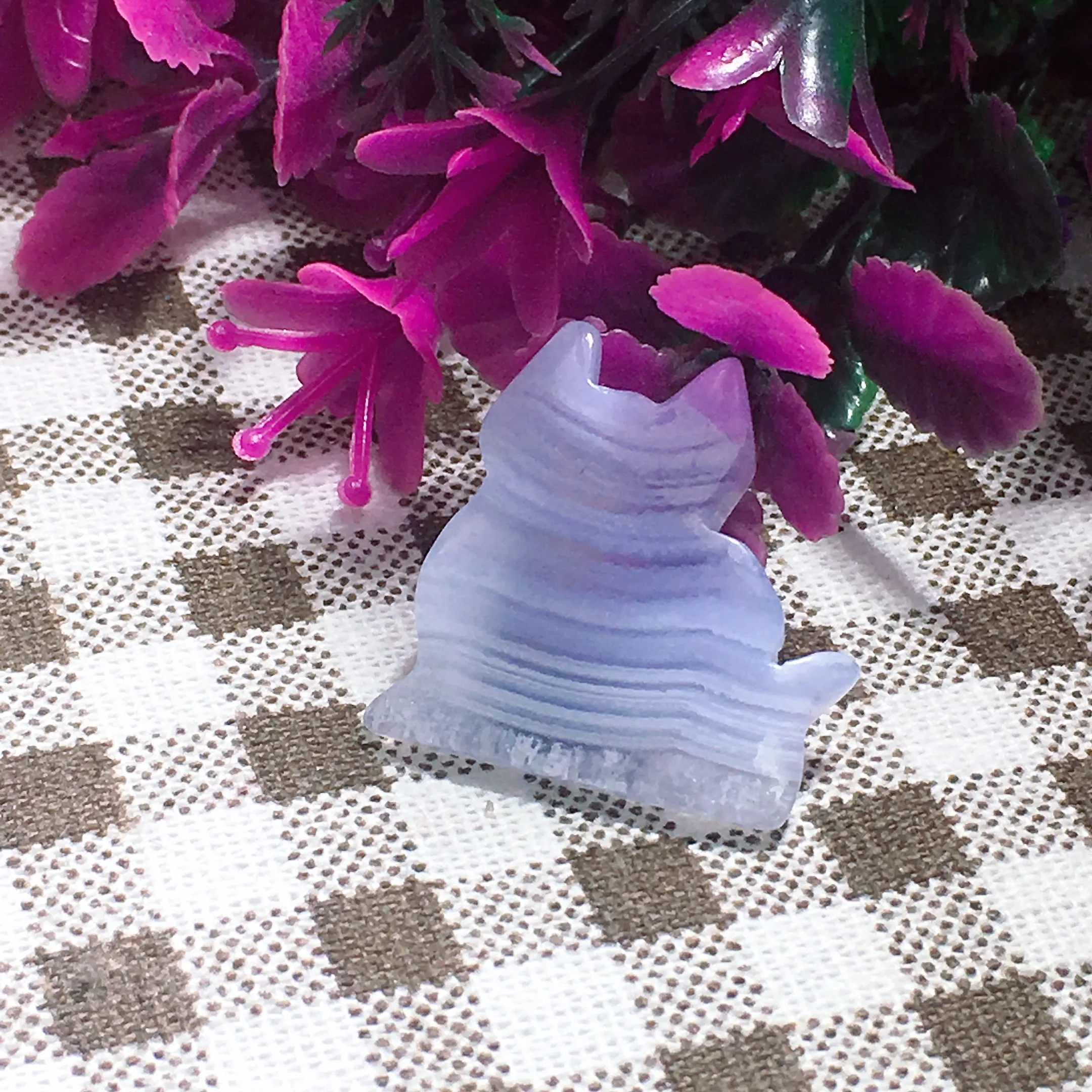 Blue Lace Agate Cat 2550