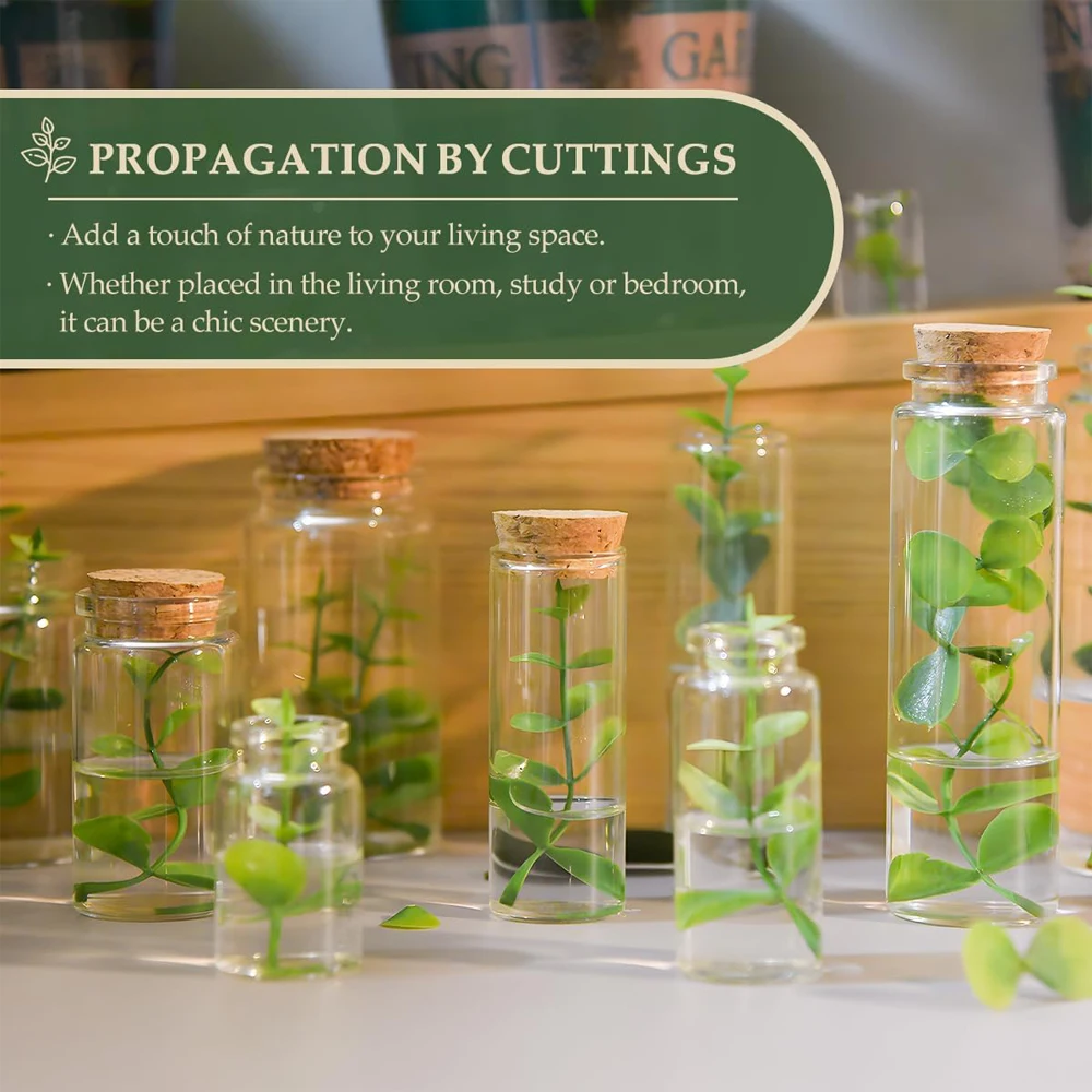 60ml Glass Bottles Cork Stoppers DIY Decoration Mini Glass Vials Cork Message Glass Bottle Vial Cork,Small Glass Bottles Jars 4