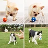 Pet Interactive Dog Toys for Small Medium Large Dogs Cat Teeth Cleaning Improve IQ Squeak Ball Toys Chihuahua Bulldog Supplies 6