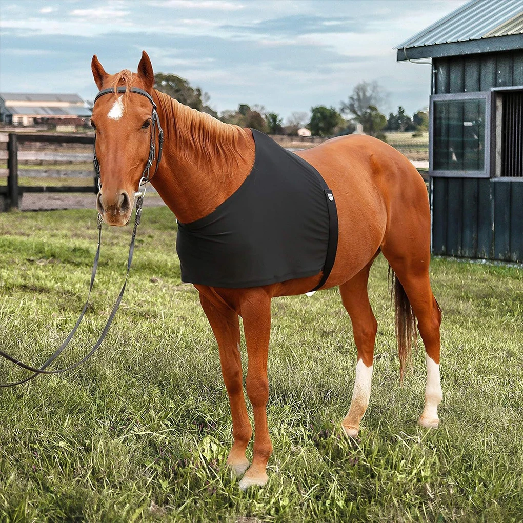 Horse Shoulder Guard Protection Anti Rub Bib Lightweight Horse Chest Saver Cover Ventilated Guard Breathable Belly Equipment