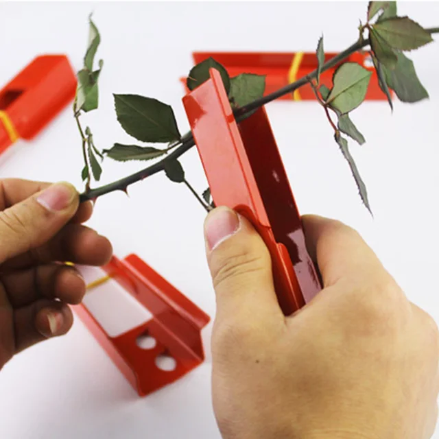 Diy Vágott Szerszám Virágüzlet Fém Gardon Flower Rose Thorn Szár Levél Sztriptíz Plier Eltávolító Burrs Kerti - Image 2
