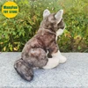 Grey Wolf Plush Toy Lobos High Fidelity Coyote Plushie Wolf Peluche Lifelike Stuffed Animals Simulation Doll Kawai Toy Gifts Kid 6