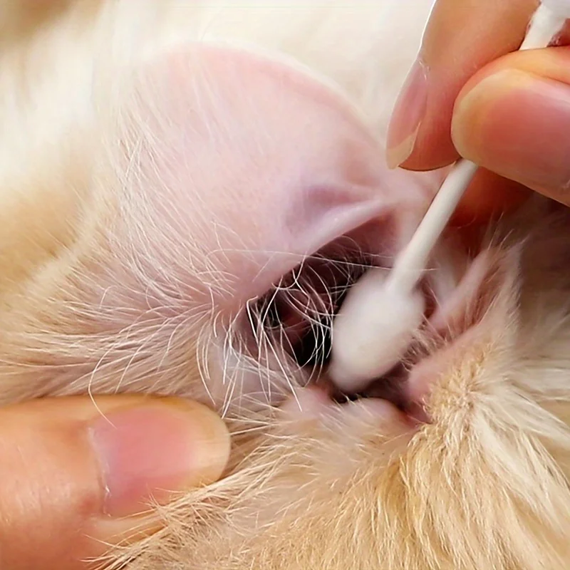 56pcs/box Pet Cotton Swabs, Ear Swabs, Cotton Swabs for Dogs & Cats, Pet Cotton Sticks for Dog Ears Cleaning