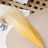 5pcs Artificial Pampas Grass Faux Reed Grass,  Reed Flower With Fluffy Stems Reed