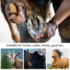 1PC Horse Hoof Pick Anti- Practical Grip Hoof Pick with Brush Horse Grooming Tools Cleaning Tools 6