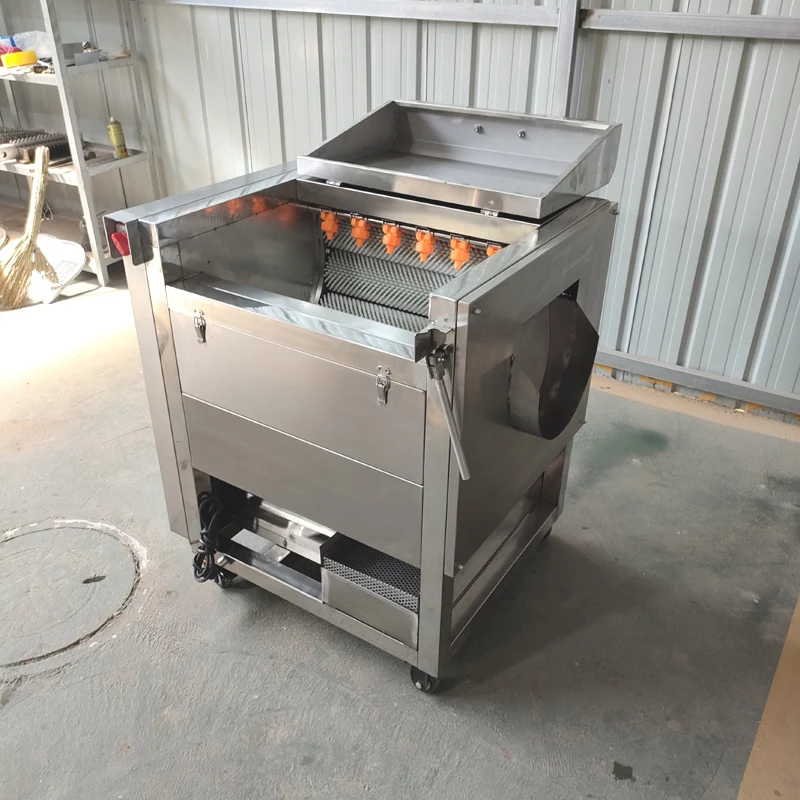 Root Vegetable Fruit Ginger Cassava Washer Peeler Potato Cleaning Peeling Machine Ginger Skin Peeler Industrial 3