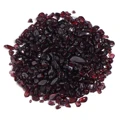 Garnet
