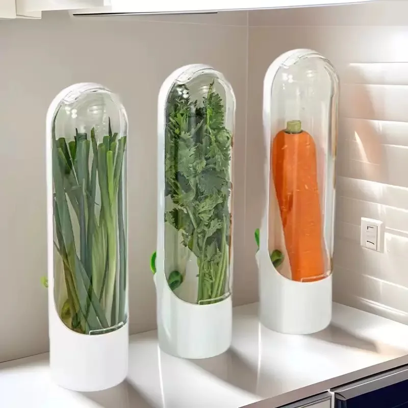 Cross-border Vanilla Vegetable Fresh-keeping Box Dust-proof Anti-pressure Environmental Protection Fresh-keeping Device Creative