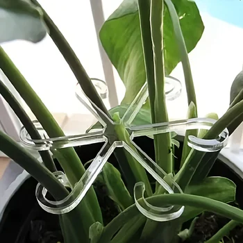Plant Stem Support Clips 1