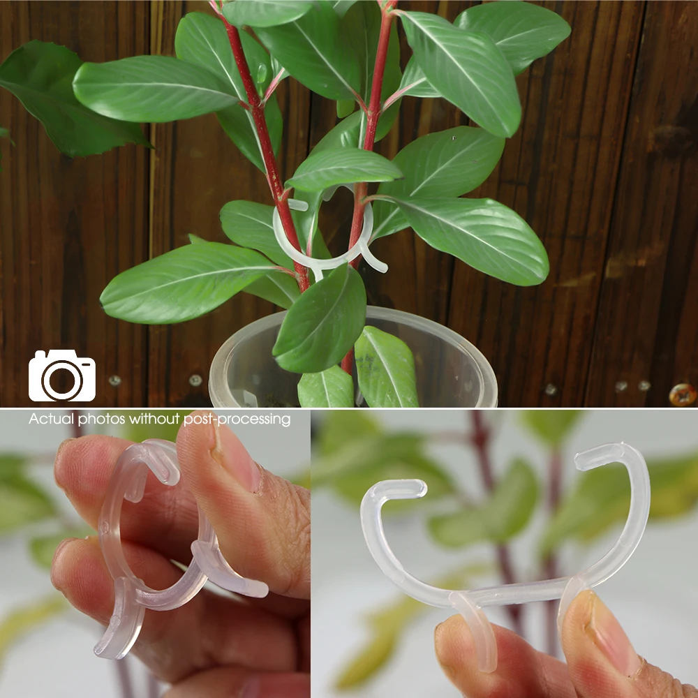 Clear Clip Plant Support Clamp Clip Transparent Plastic Garden Fixture Gripper Great Flower Vine Vegetable Lever Loop Hold Stems