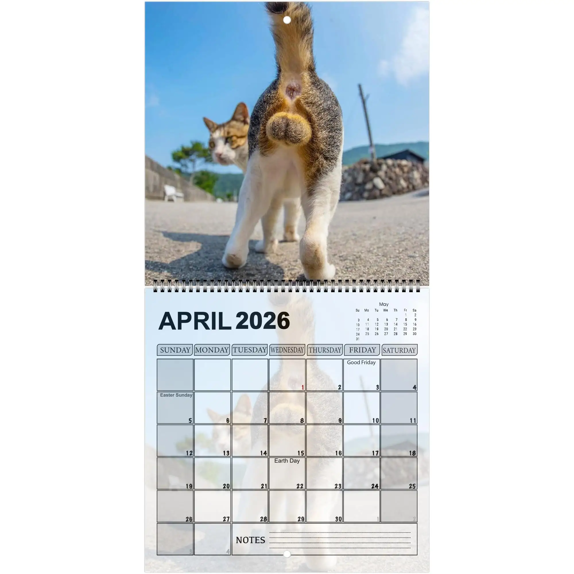 2026 Cute Cat Calendar - Monthly & Daily Planner with Adorable Frog-Eyed Kitten Design Perfect Gift for New Year Halloween