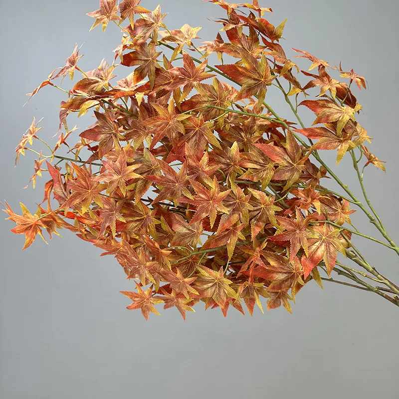 Slide image e0216637404a445497b04b70897f3623