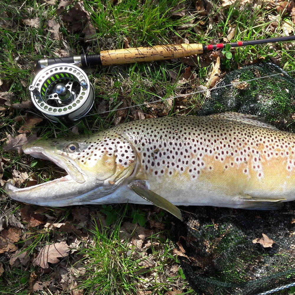 Fly Fishing Fly Fishing Reel Goture