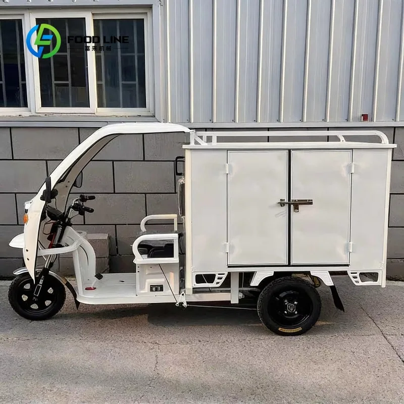 Triciclo Elettrico Personalizzato con Box Refrigerato per Catena del Freddo, Trasporto Mobile a Bassa Temperatura - immagine 3