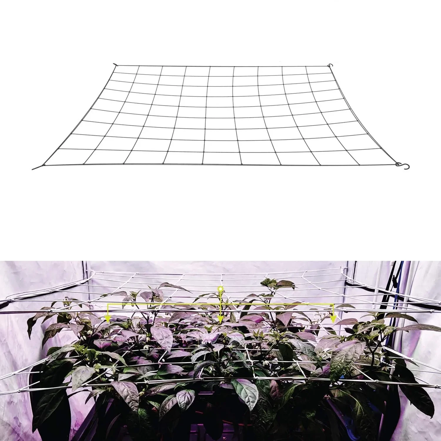 Mesh Trellis Netting for Grow Tents Plant Support Elastic Garden planting network with Hooks Grow Box Kit Low Stress Training
