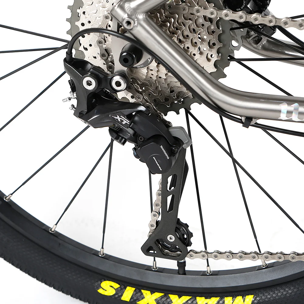 Рисунок 5 - TWITTER bicicleta WERNER XT/M8100-24S