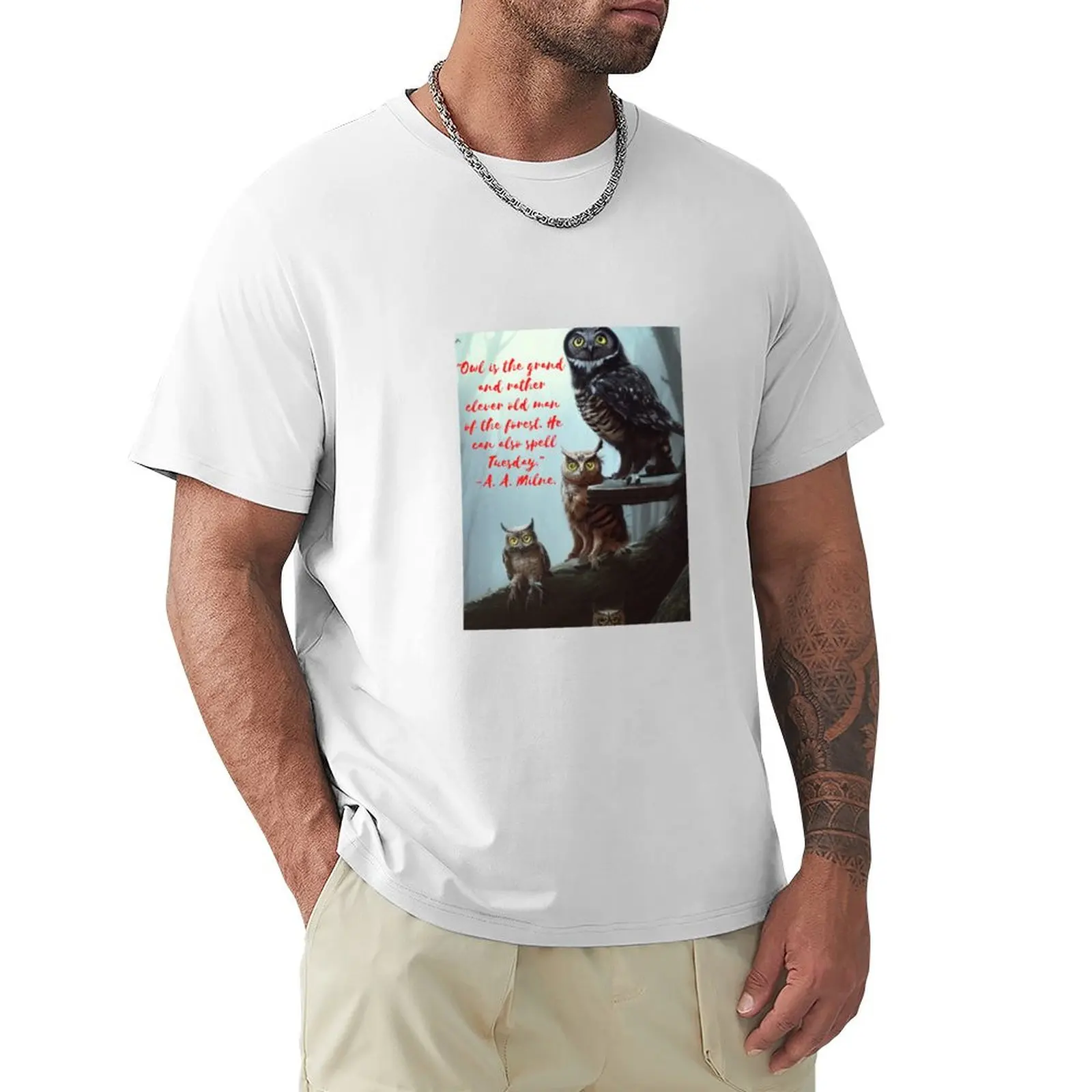 

WINTER OWLS NIGHT T-shirt plain quick drying Men's clothing