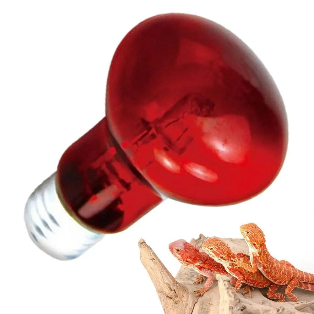Infrared Led Pet Heating Lamp Durable UVA Adjustable Reptile Heat Bulb 4 Kinds 25W/50W/75W/100W UVA Day Night Bulb Reptiles