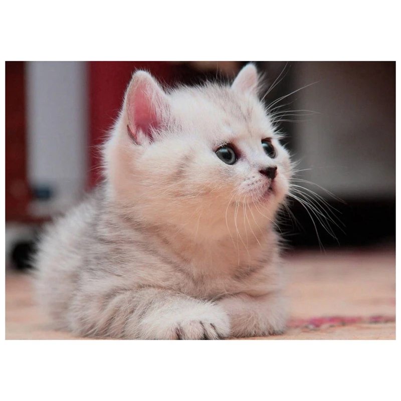 

Алмазная вышивка «сделай сам», круглая смола, алмазная вышивка, домашний Настенный декор (Белый Кот), 30x40 см