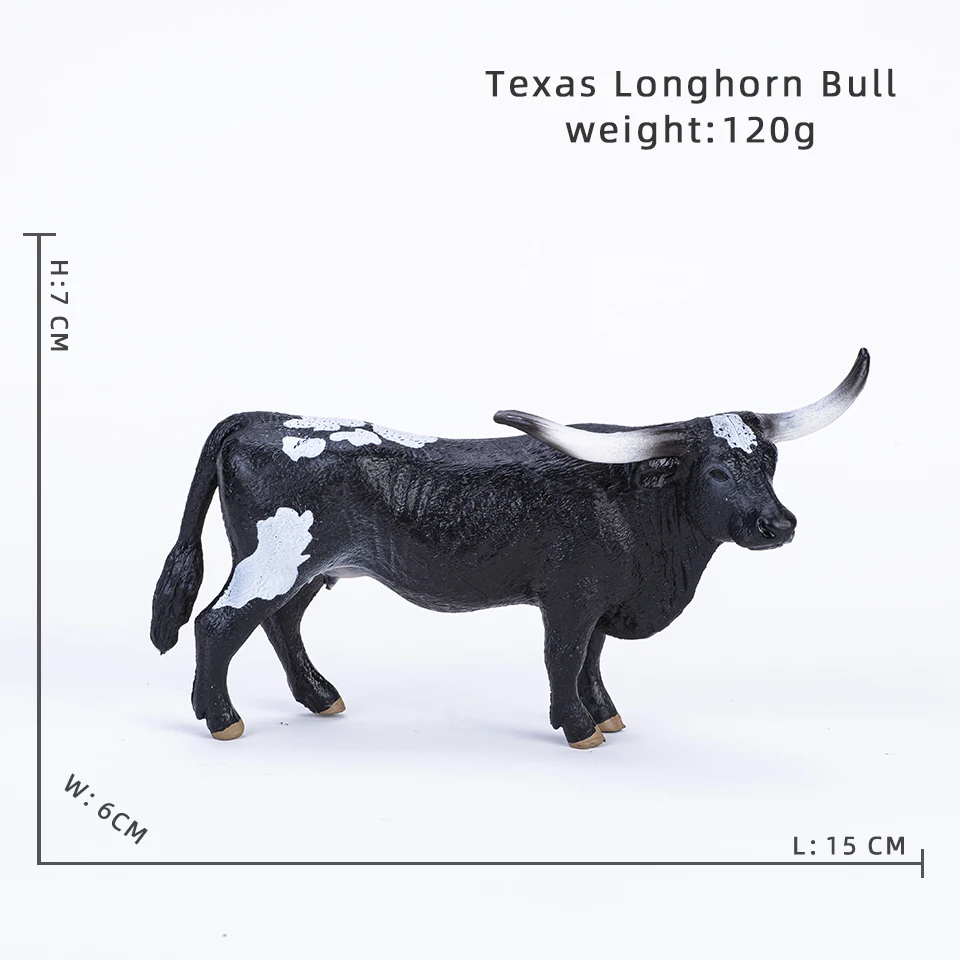 Texas Longhorn bull