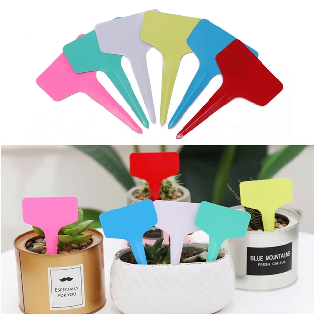 6Db Vegyes Színű Kert Bonsai Cserepes Virágok Címkék Vetőmag Óvodai Növények Jelölik A Pp Válogatási Címkét - Image 3