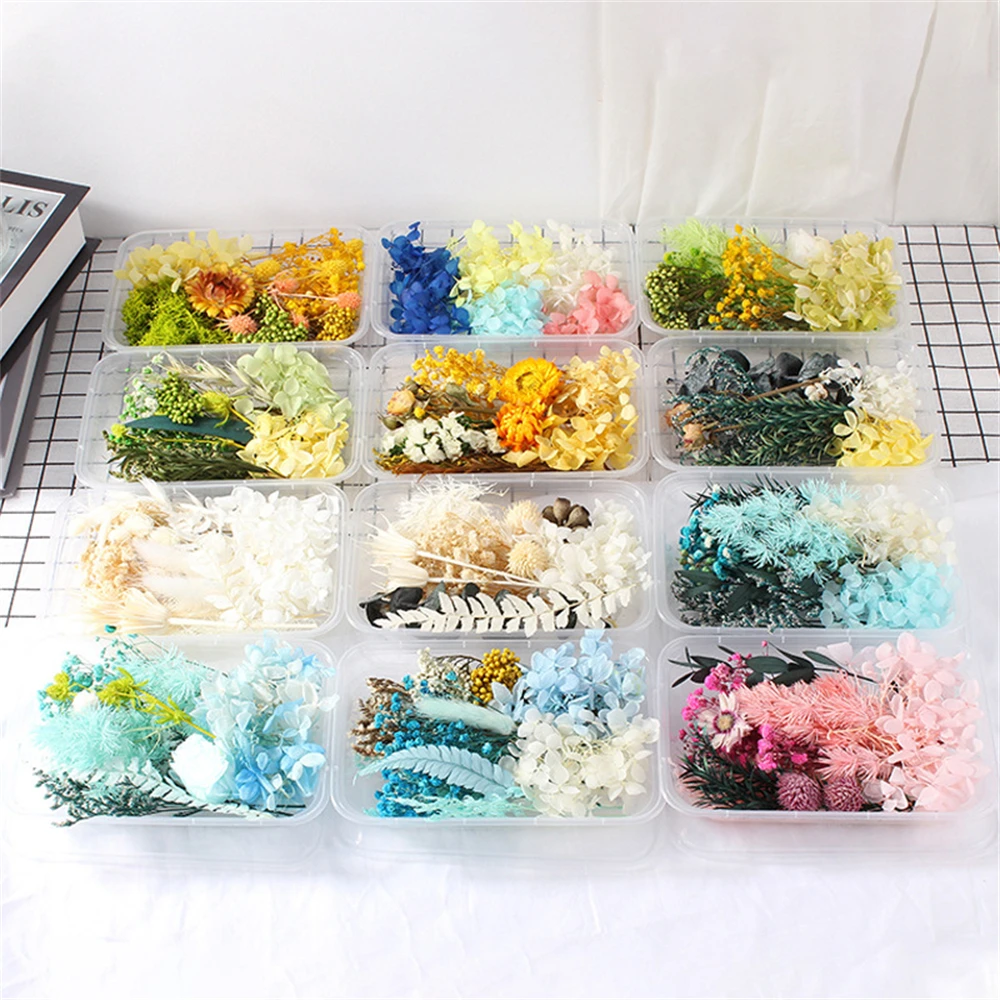 20Pcs Forget Me Not Flowers Myosostis Sylvatica Dried Pressed Flowers for  Resin,Candle,Epoxy Resin,Soap Making,Scrapbooking,DIY Art Crafts(White) -  Yahoo Shopping