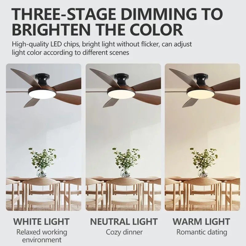 Ceiling fan led ceiling fan lights led fan light 56Inch Low Floor DC Remote Control Led Fan Lights 110V 220V