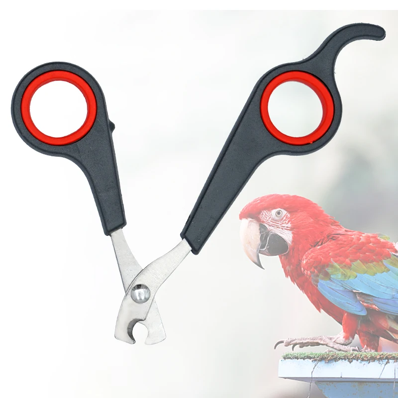Pet Bird Parrot Small Animals Accessory Grooming Tool Nail Scissors Clipper Black And Red