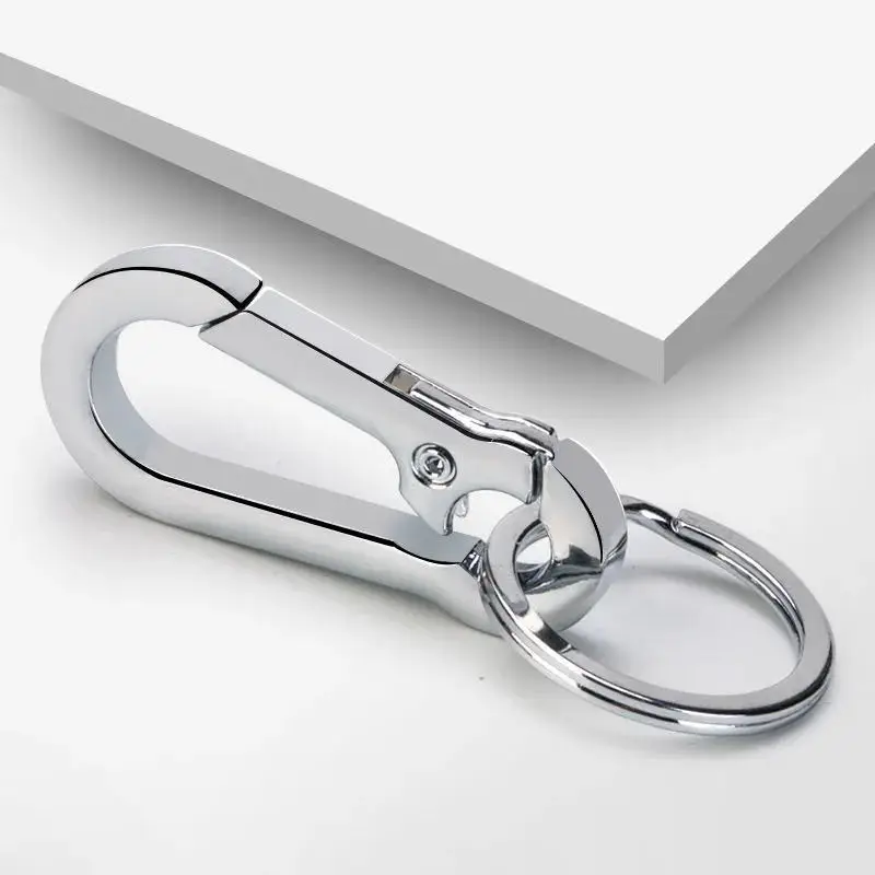 Carabiner Clip Keychain 4Pcs for Car Keys