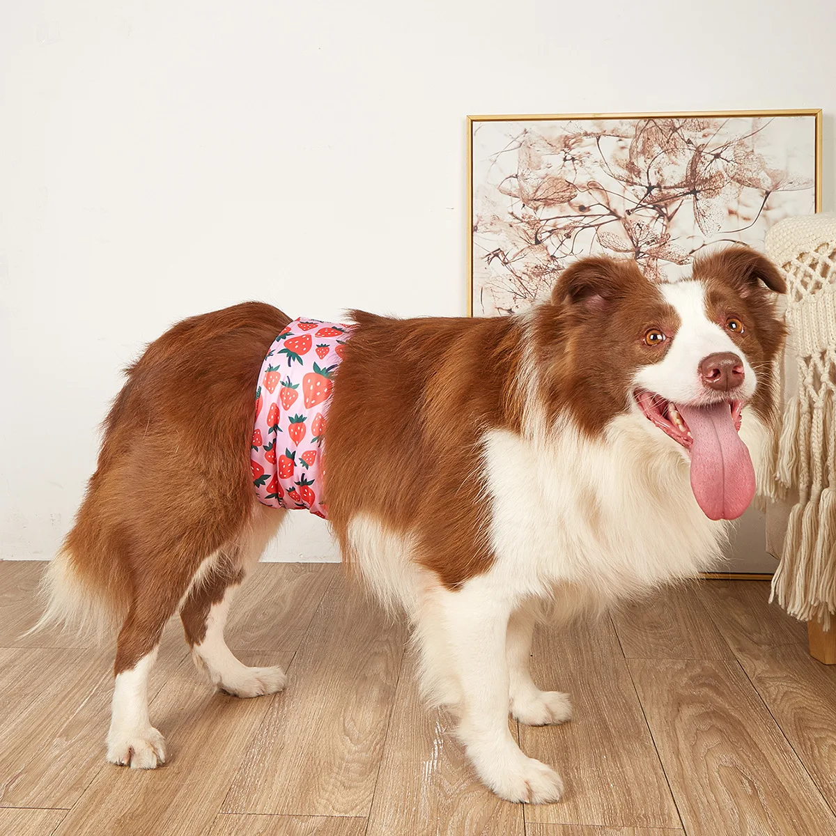 Dog Belly Band Cartoon Reusable Animals Pet Dog Male Physiological Pant Adjustable Sanitary Underwear Cotton Diaper Puppy
