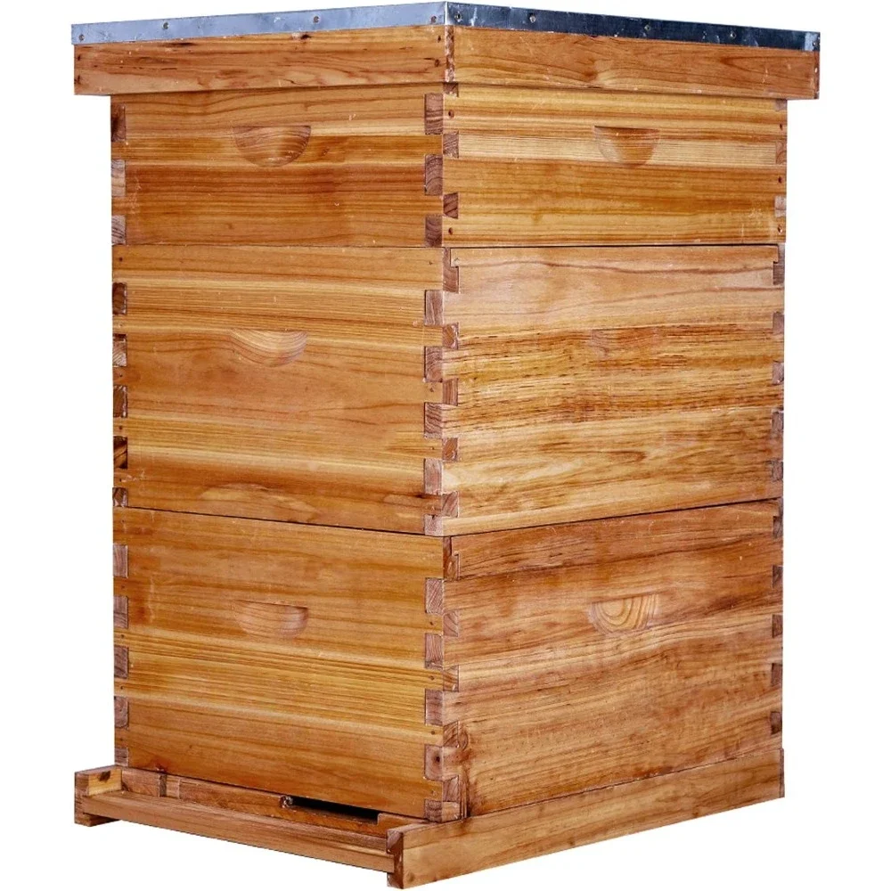 10 Frame Bee Hive Coated with Beeswax includes Beehive Frames and Waxed Foundations (2 Deep Boxes & 1 Medium Box)