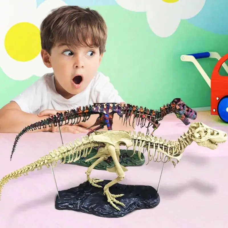 Dinosaur Skeleton Children Dinosaur Skeleton Toys 4d Dinosaur