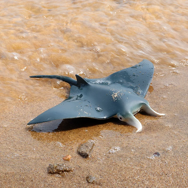 Oenux Small Sealife Animals Fish Ray Shark Whale Turtle Model Action Figures Mini Marine Miniature Pvc Cute Educational Kid Toys Action Figures Aliexpress