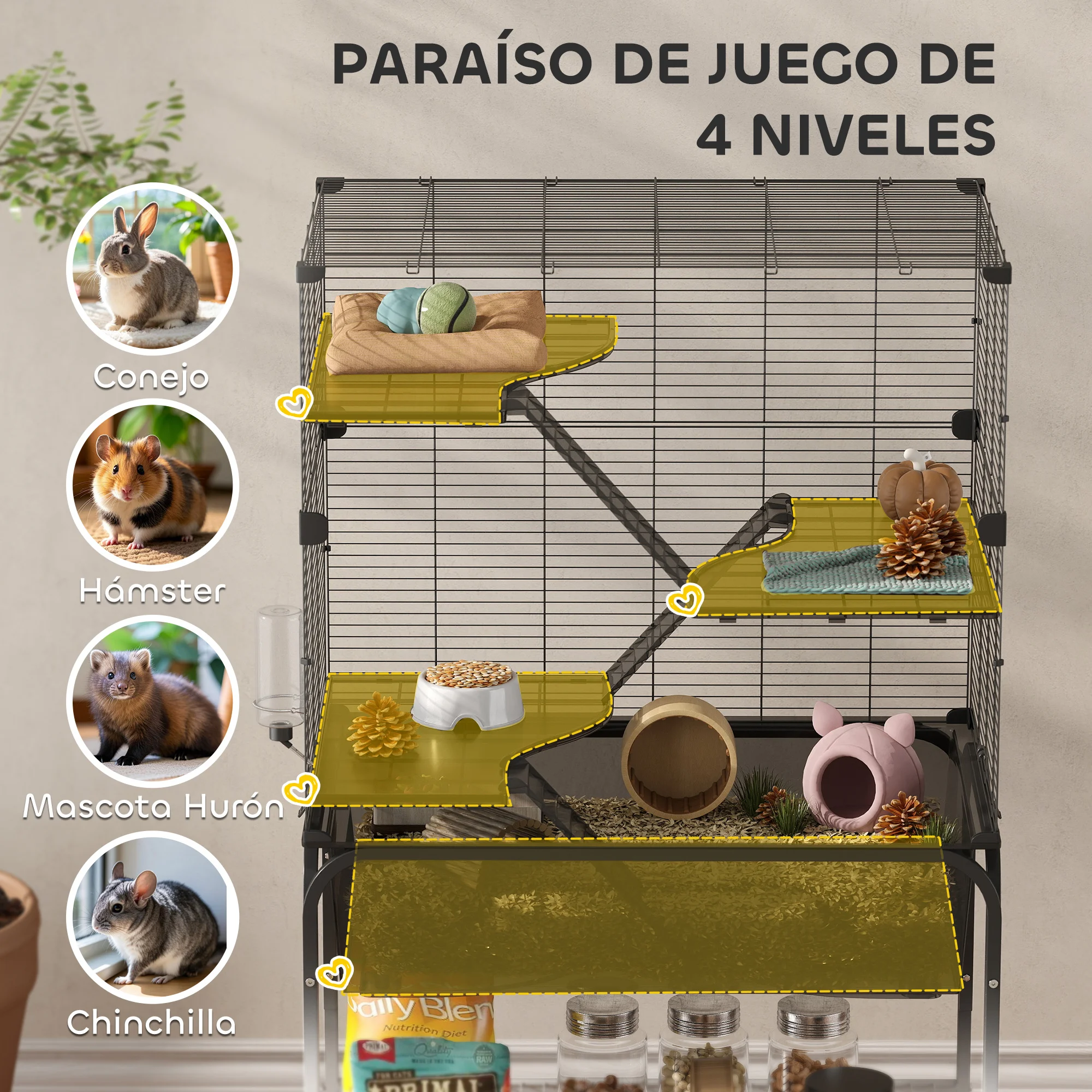 dsc-products