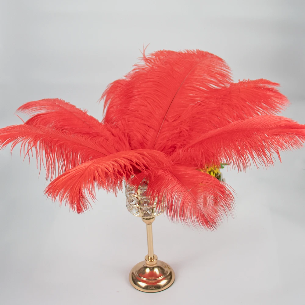 羽毛 15-70cm 赤いダチョウの羽根 工芸品の装飾用、テーブルセンターピース用の大きな羽根 ダチョウ羽ばたき 中 | 道具屋 nobori ダチョウ の羽のうちわ、 ダチョウの羽根 手持ち扇子 マルチカラー 100cm/130cm(Lake Blue,100CM 2PCS) 羽毛 15-70cm 赤いダチョウの羽根 工芸品の装飾用、テーブルセンターピース用の大きな羽根