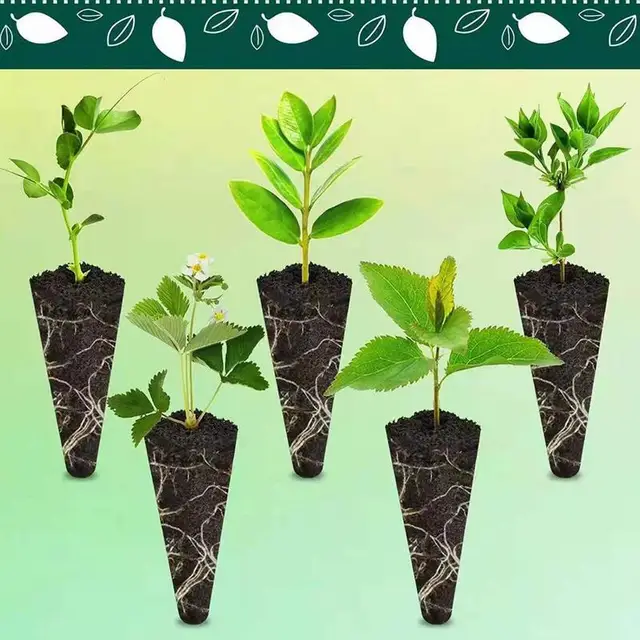 Növekszik A Szivacsok Gyökérnövekő Dugó Szivacs Erős És Tartós Ültetési Eszköz Szamóca Számára Virágpaprika Koriander Bazsalikom Paradicsom - Image 3