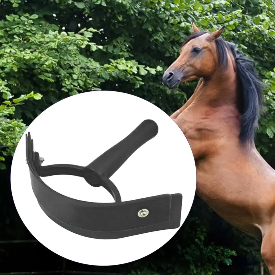 Grattoir à Sueur Pour Cheval En Acier Inoxydable - Poignée Ergonomique Confortable - Outil De Toilettage Pour Enlever La Sueur Après L'effort
