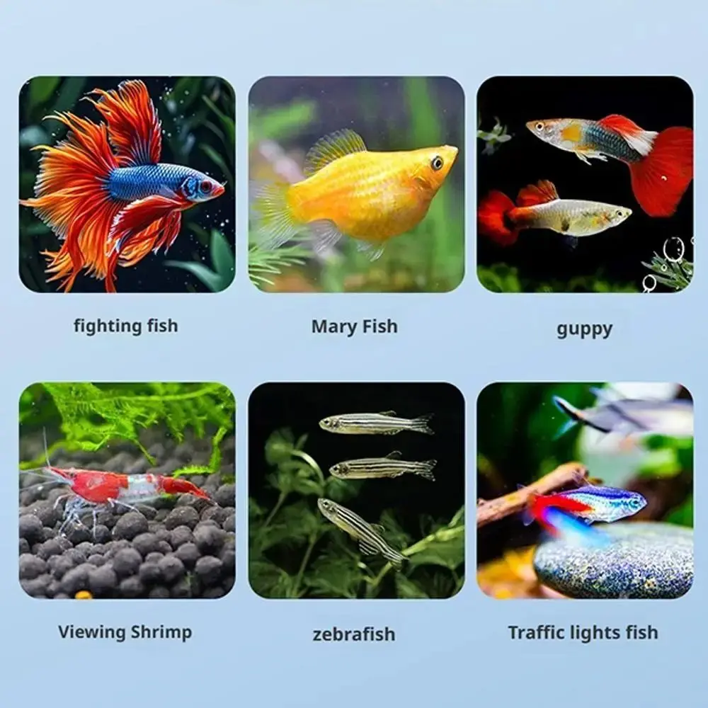 2Pcs Suction Cup Fish Breeding Isolation Box Transparent Plastic Mesh Aquarium Hatchery Accessories Multi-functional