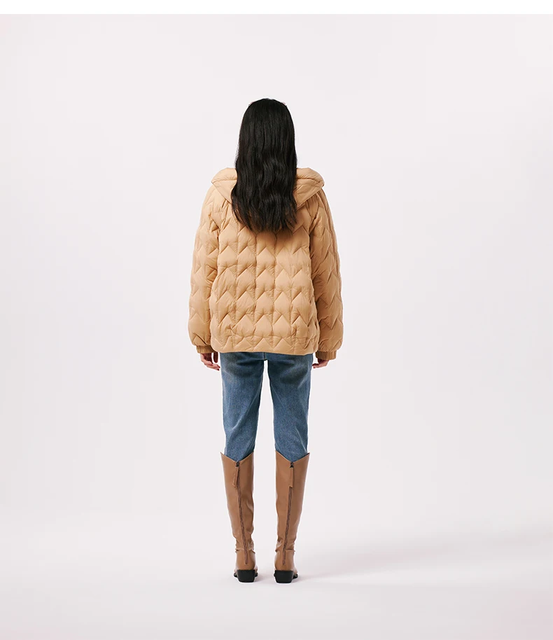 Chericom Korean Fashion Hooded Women's Autumn Winter Down Jacket Light Plaid Casual Versatile Solid Color Puffer Coats 299059