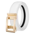 White-Gold Buckle