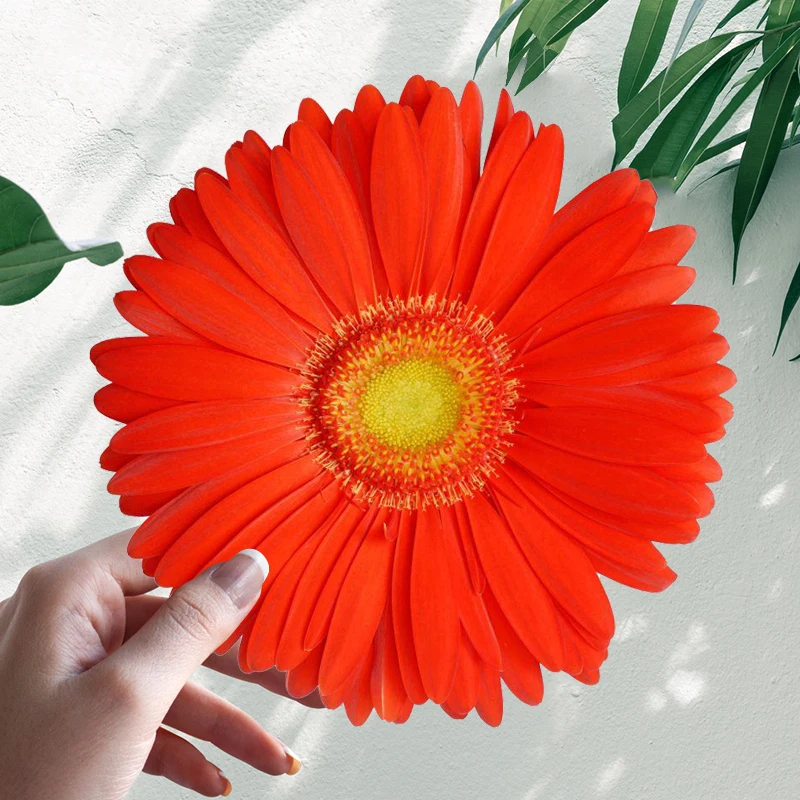 

Cool Sunflower Red Flowers Car Stickers Motorcycle Vinyl Decal Waterproof Windshield Auto Accessories #S90306