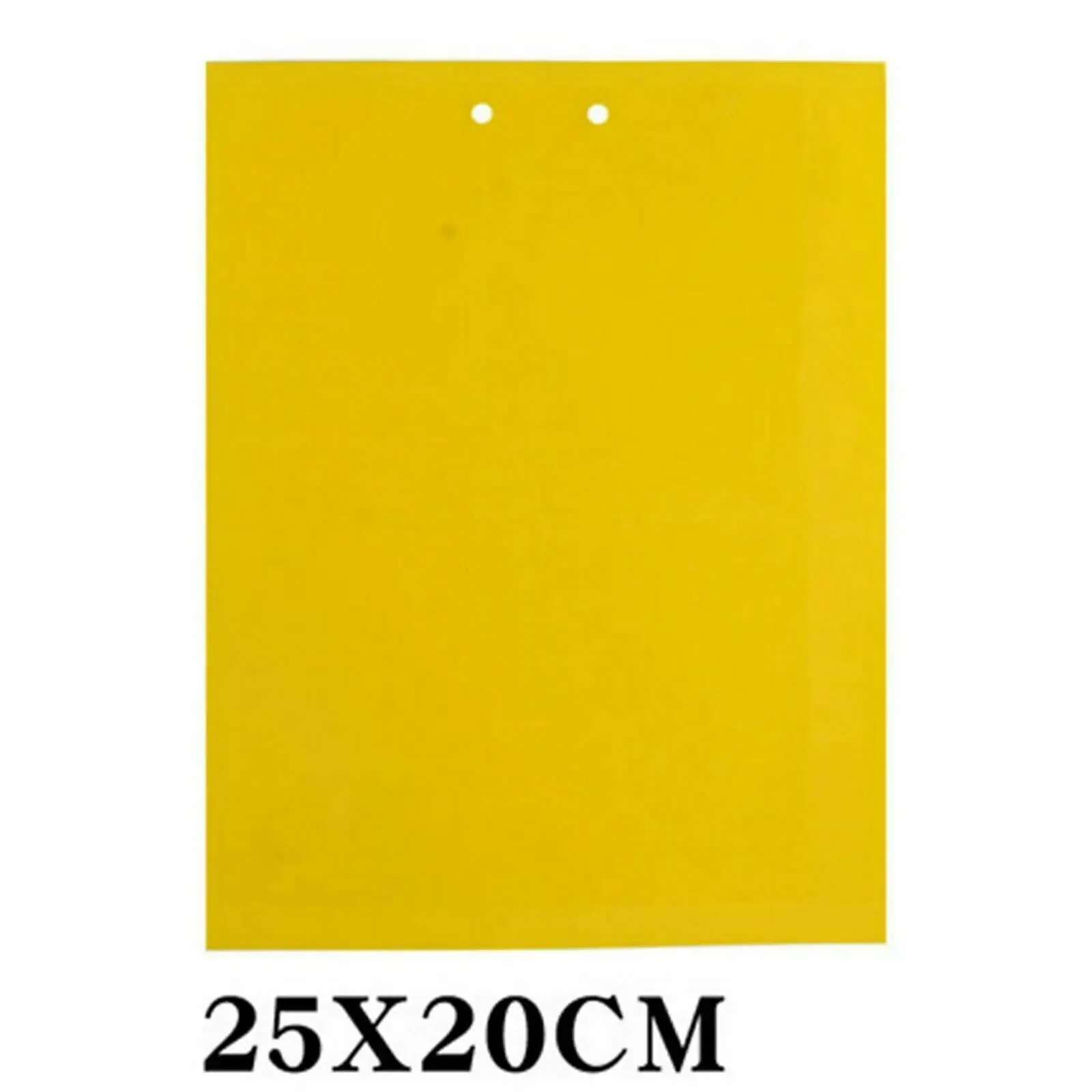 25 X 20