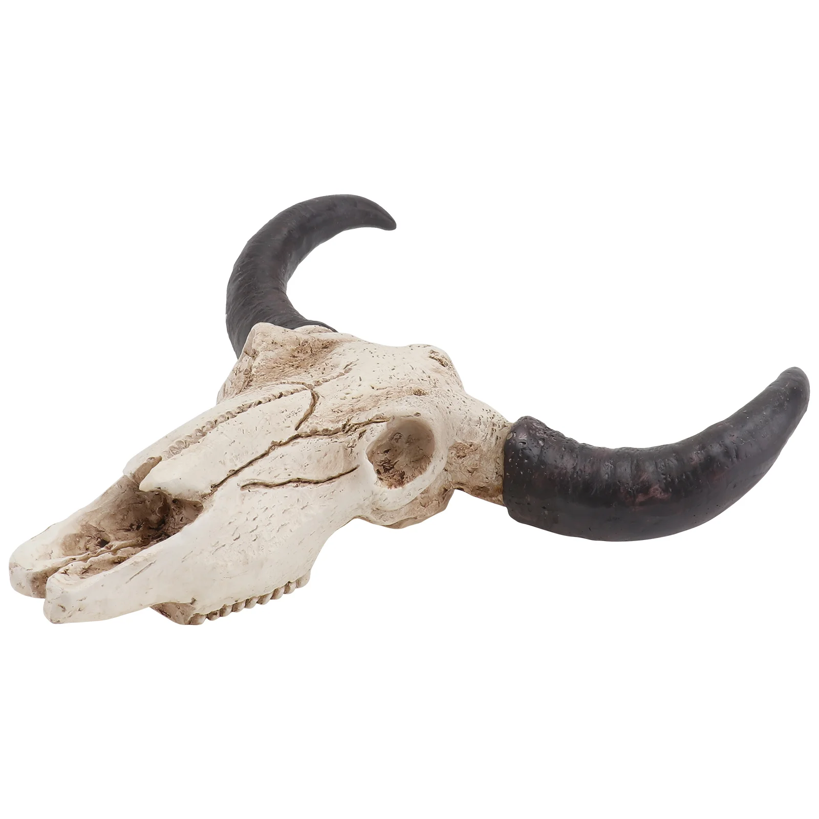 

Animal Long Horn Cow Skull Wall Hanging Horn Wall Pendant Craft Creative Halloween Gifts Art Crafts Ornaments Halloween Gifts