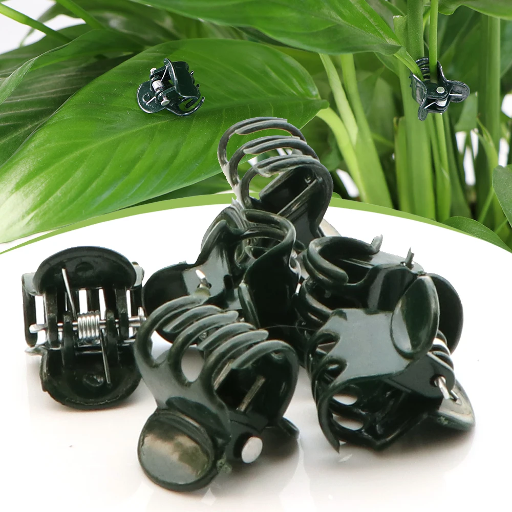 50 Clip Per Piante A Forma Di Farfalla – 5 Colori, Per Orchidee E Rampicanti, Antiruggine E Facili Da Usare
