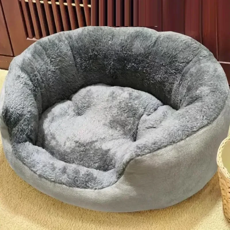 Dog sleeping peacefully