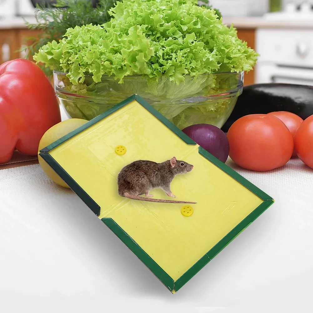 Mouse Board Sticky Mice Glue Trap Rat Insect Sticky Snake Bugs Catcher Pest Control Traps 30-5PCS