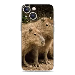 Cute Capybara Luxury Transparent Phone Case with Clear Lens Protection - iPhone 12 Pro (B7)