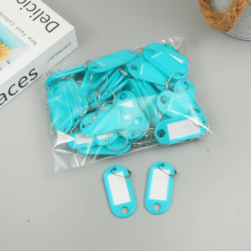 Durable Plastic Key Tags with Split Ring and Label Window for DIY Keychains and Luggage